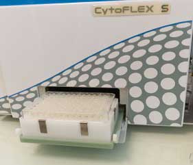 Plaque du cytoflex